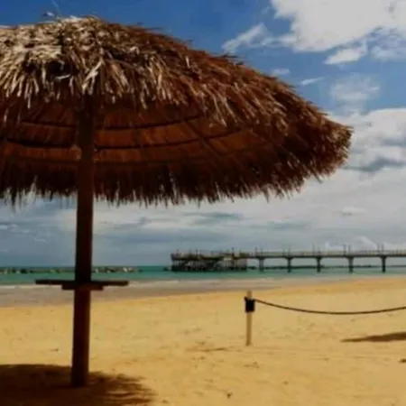 Apartament Angelina House *